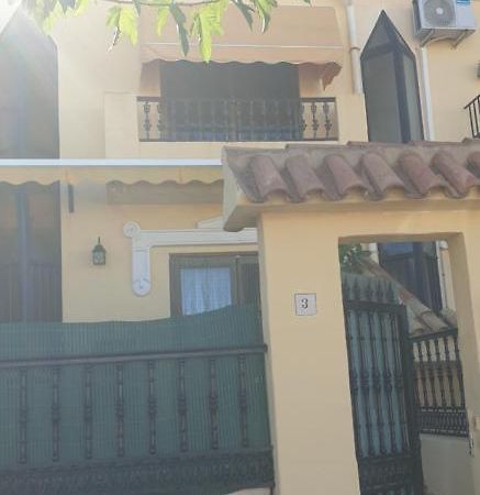 Villaislandia أوروبيسا ذيل مار المظهر الخارجي الصورة