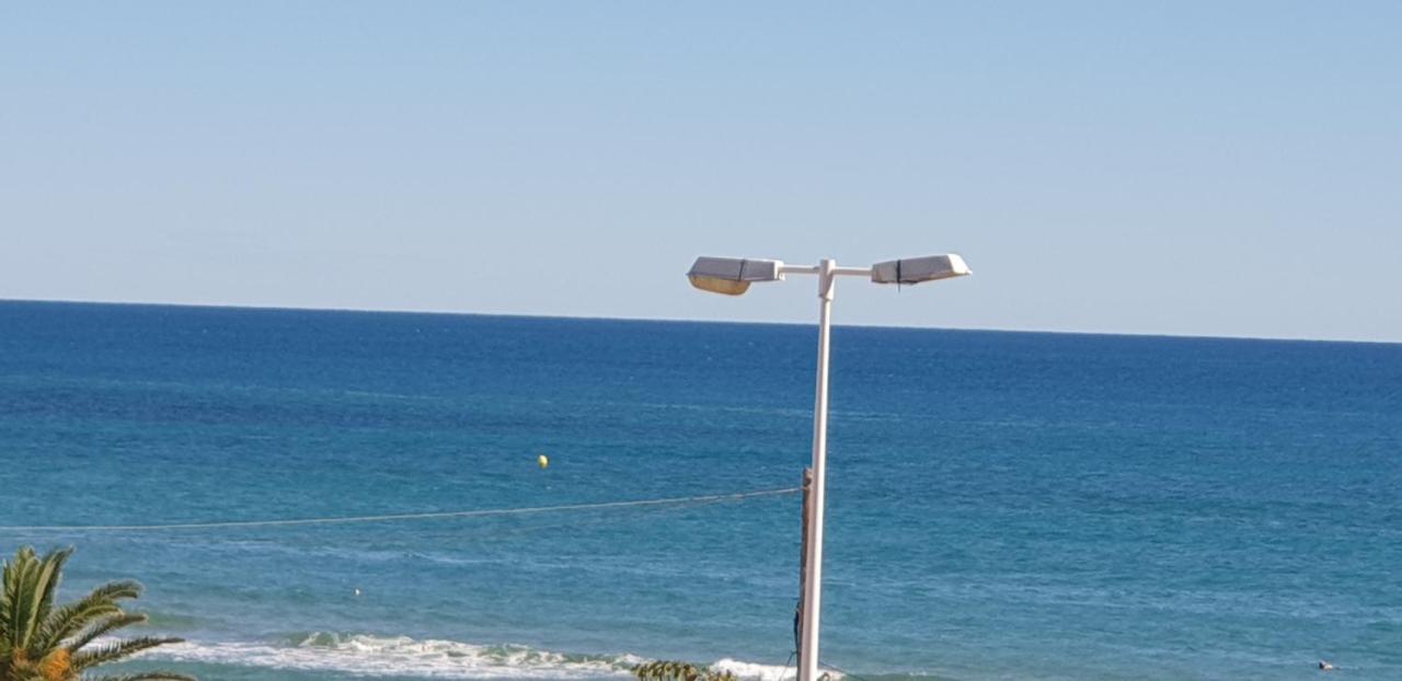 Villaislandia أوروبيسا ذيل مار المظهر الخارجي الصورة
