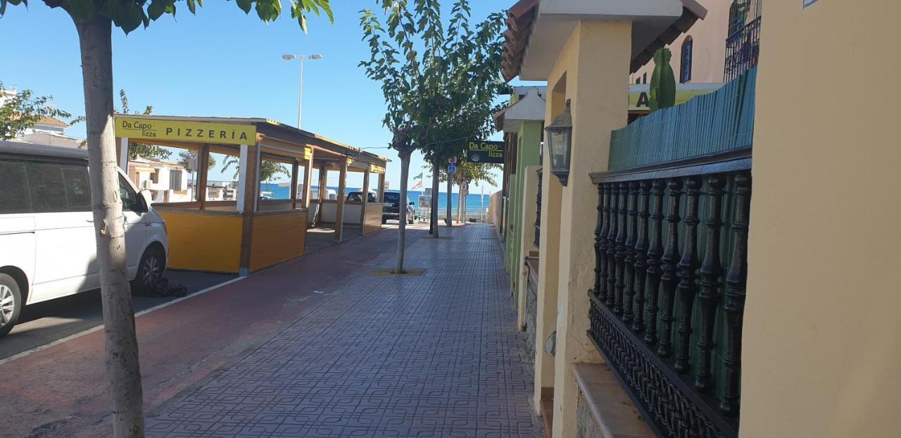 Villaislandia أوروبيسا ذيل مار المظهر الخارجي الصورة