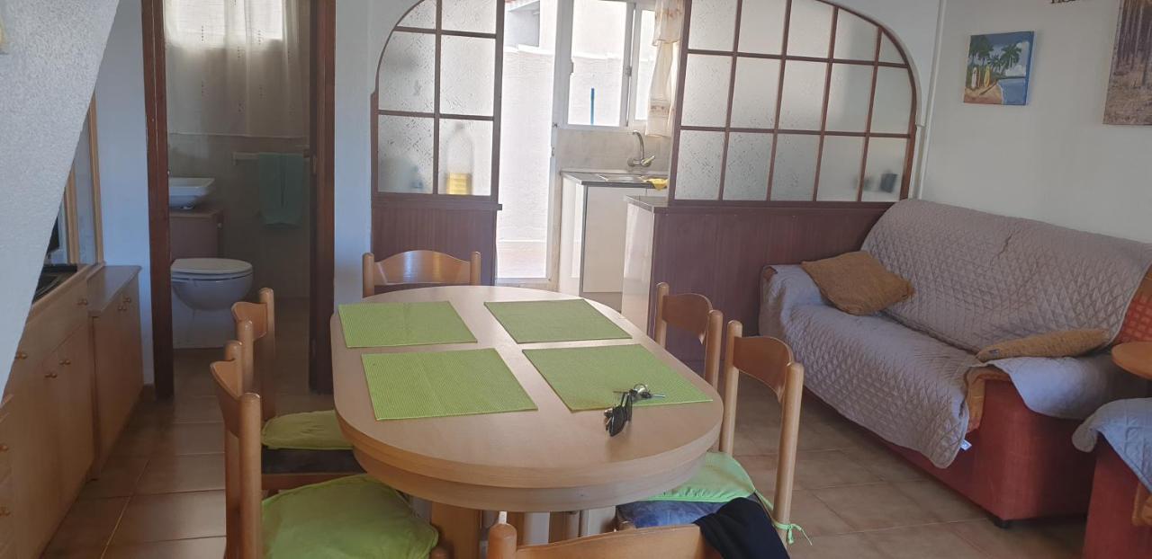 Villaislandia أوروبيسا ذيل مار المظهر الخارجي الصورة